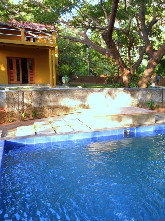 Villa Raintree Dambulla Exterior foto