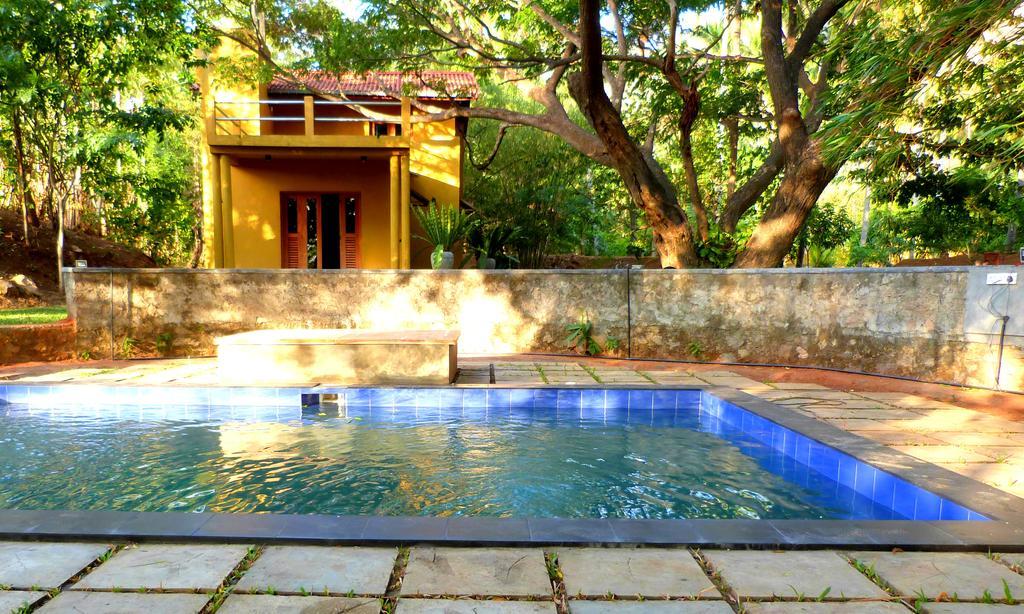 Villa Raintree Dambulla Exterior foto