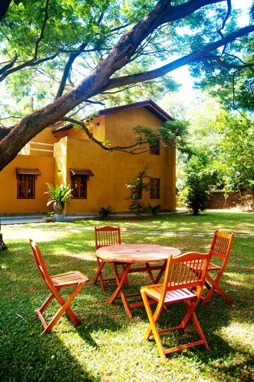 Villa Raintree Dambulla Exterior foto
