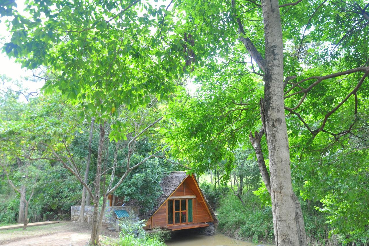 Villa Raintree Dambulla Exterior foto