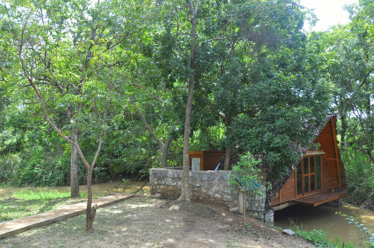 Villa Raintree Dambulla Exterior foto