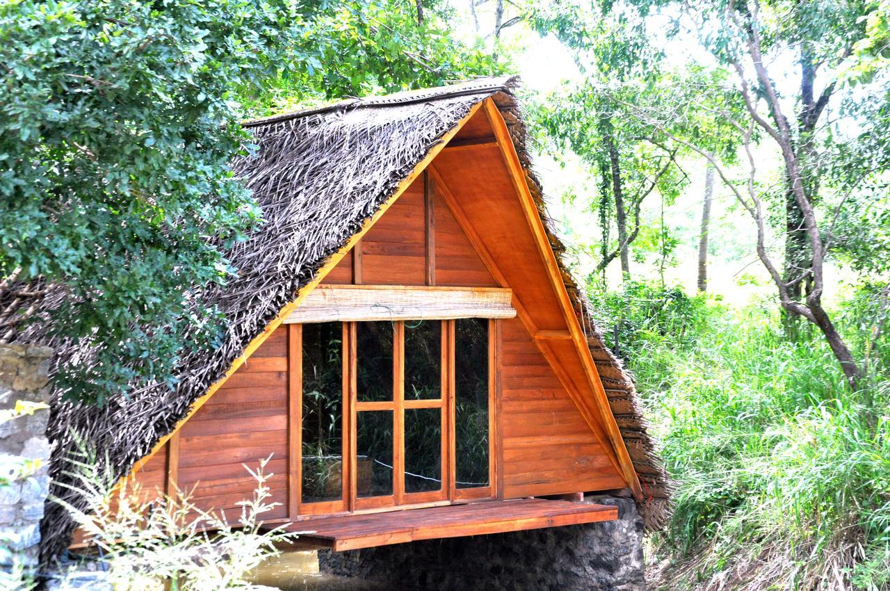 Villa Raintree Dambulla Exterior foto