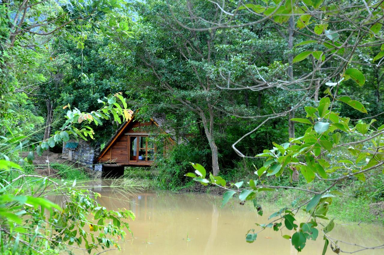 Villa Raintree Dambulla Exterior foto