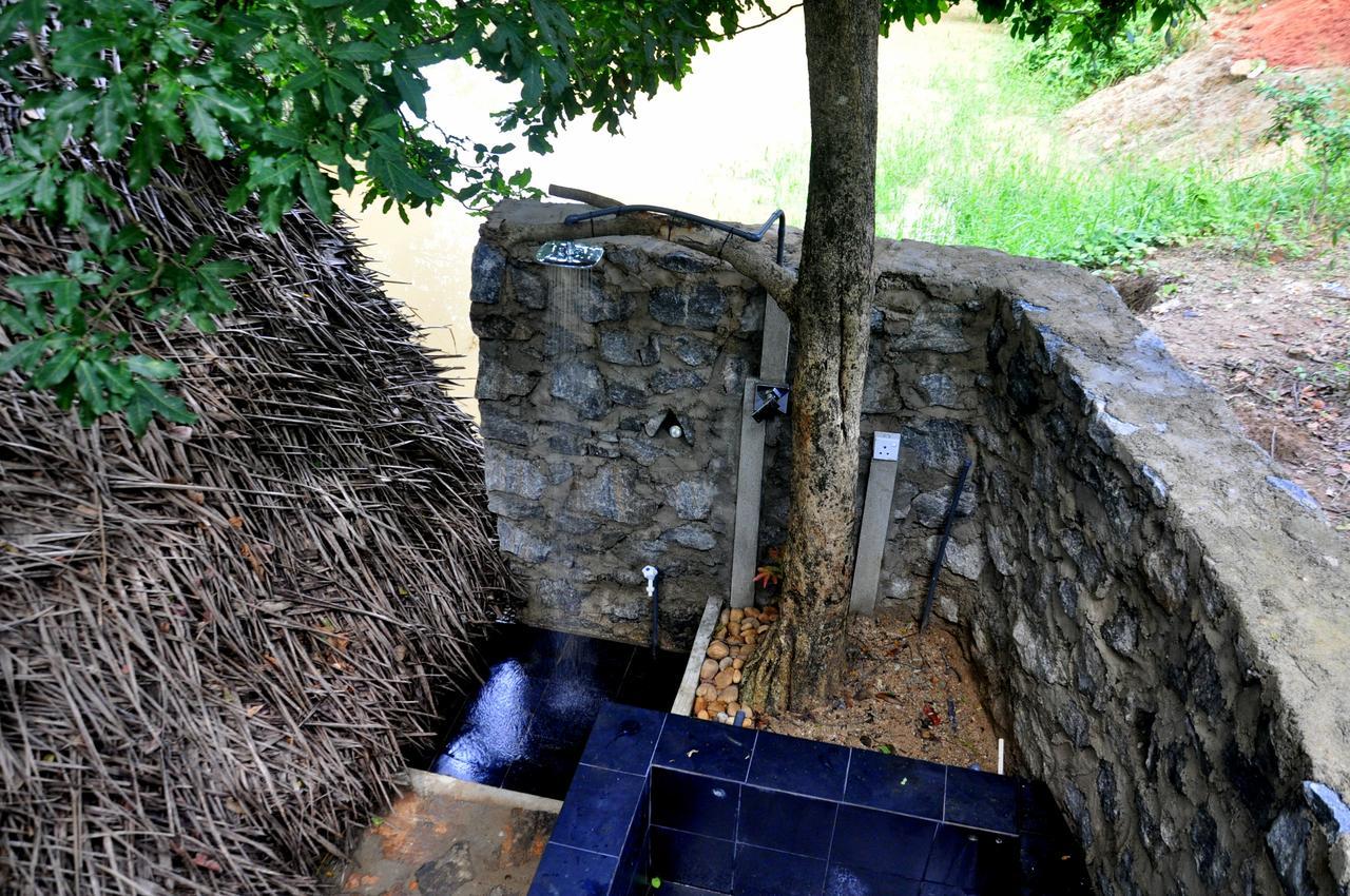 Villa Raintree Dambulla Exterior foto