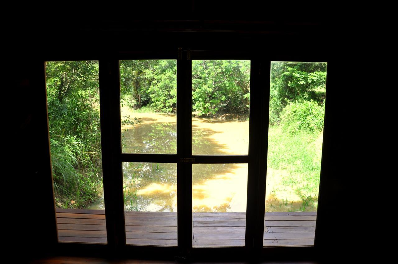 Villa Raintree Dambulla Exterior foto
