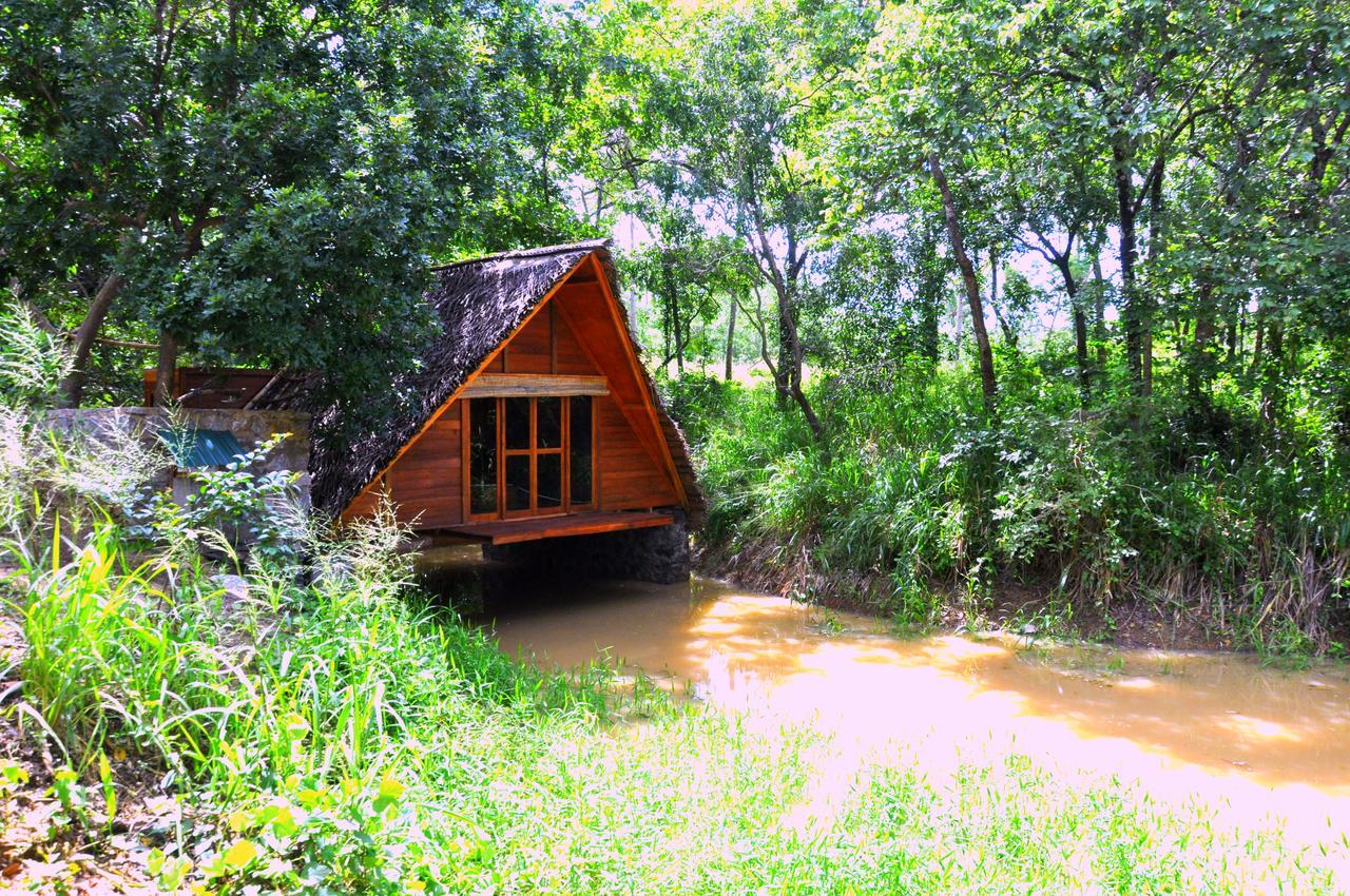 Villa Raintree Dambulla Exterior foto
