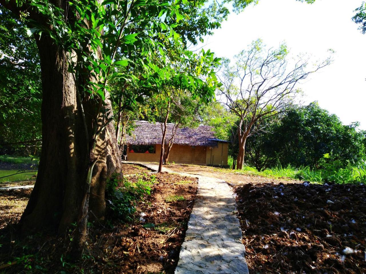Villa Raintree Dambulla Exterior foto