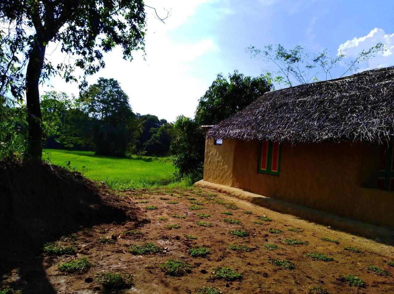 Villa Raintree Dambulla Exterior foto
