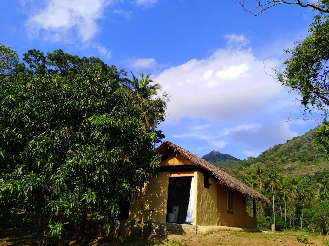 Villa Raintree Dambulla Exterior foto