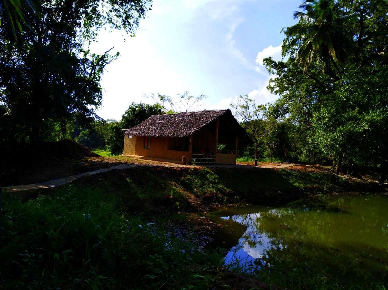 Villa Raintree Dambulla Exterior foto