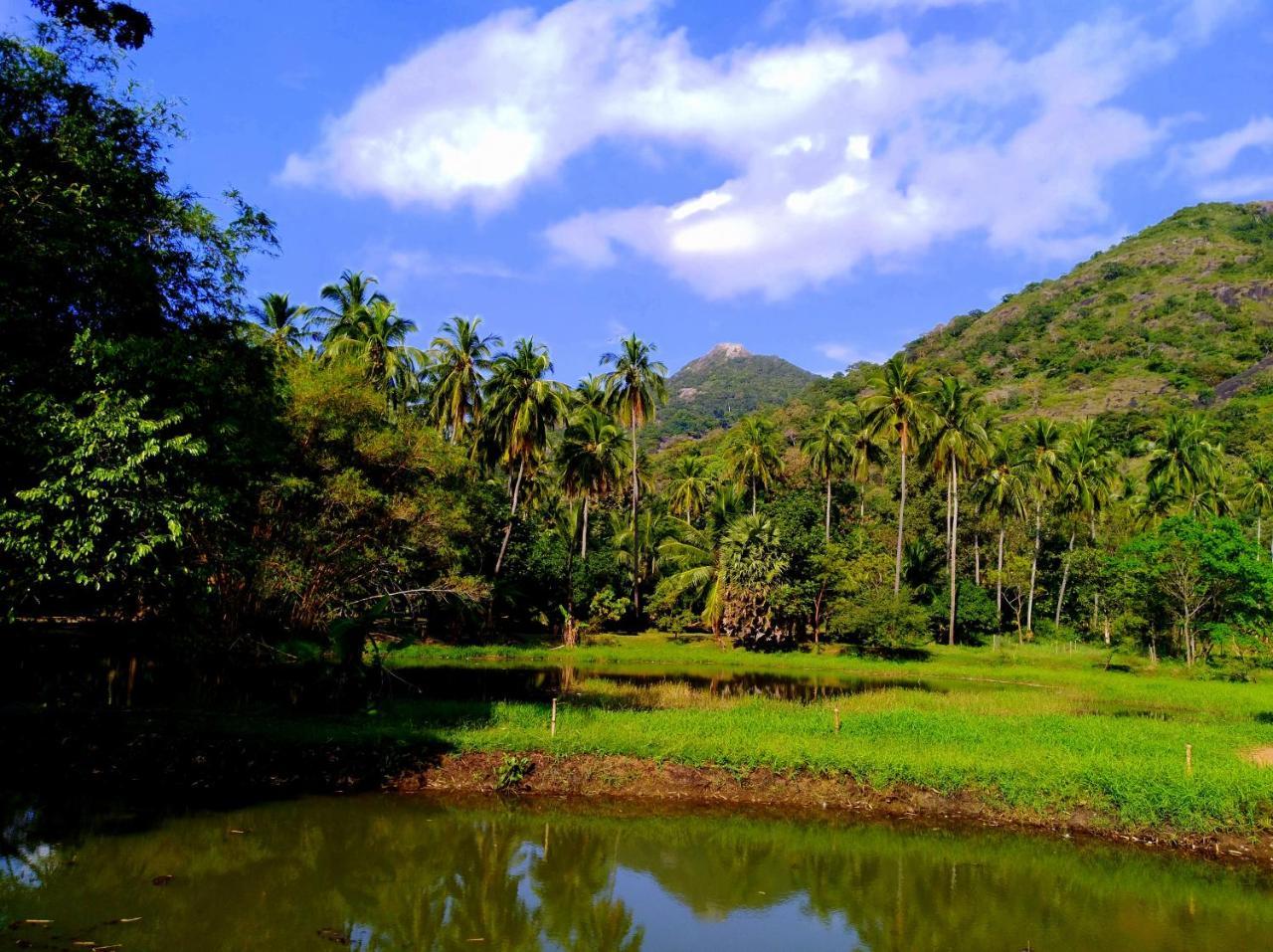 Villa Raintree Dambulla Exterior foto
