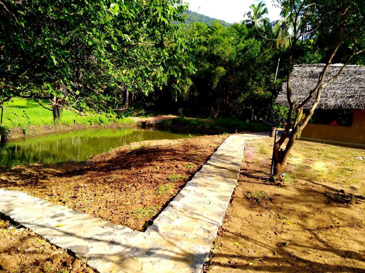 Villa Raintree Dambulla Exterior foto